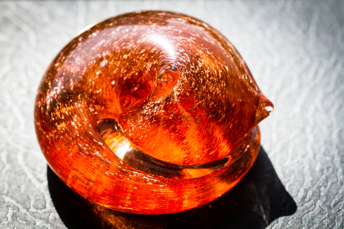 sleeping memorial cat